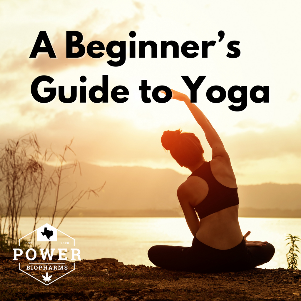 Beginner's Guide to Yoga: Unlocking the Path to Mind-Body Harmony