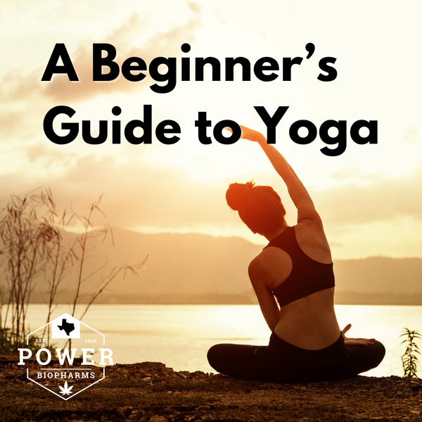 Beginner's Guide to Yoga: Unlocking the Path to Mind-Body Harmony