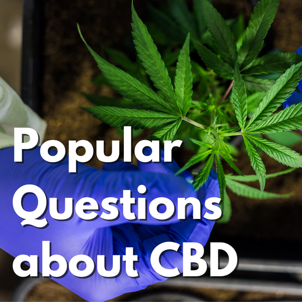 Popular Questions about CBD