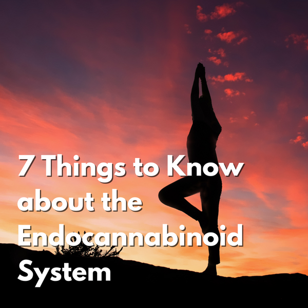 7 Things to Know about the Endocannabinoid System