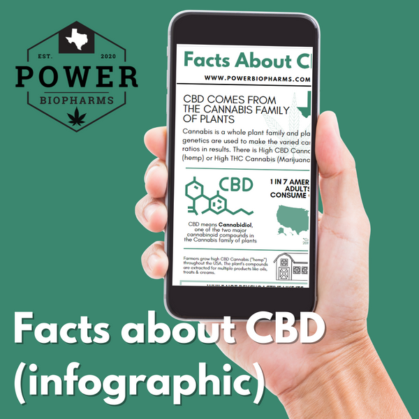 Facts about CBD (infographic)
