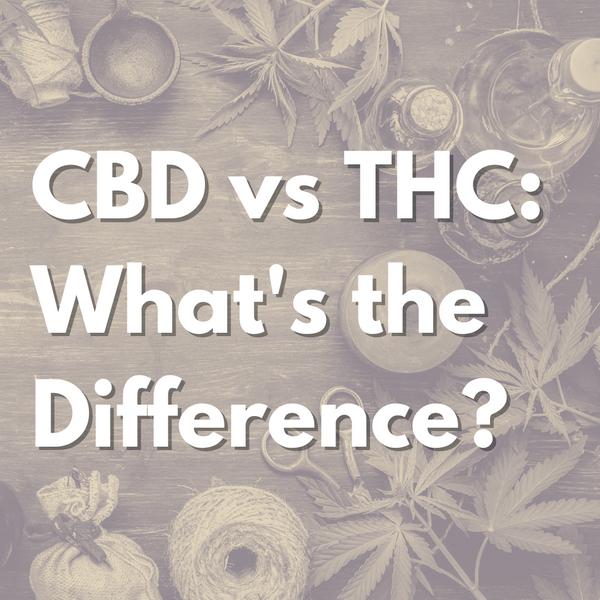 CBD vs THC - What's the Difference?