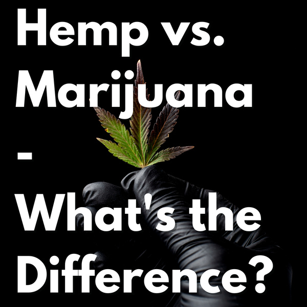 Hemp vs Marijuana - What's the Difference?