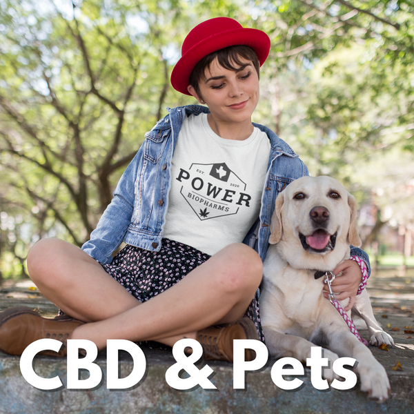 CBD and Pets