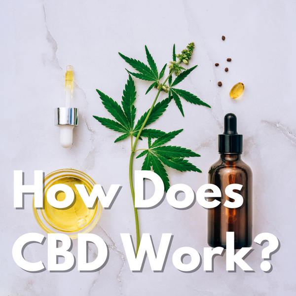 How Does CBD Work?